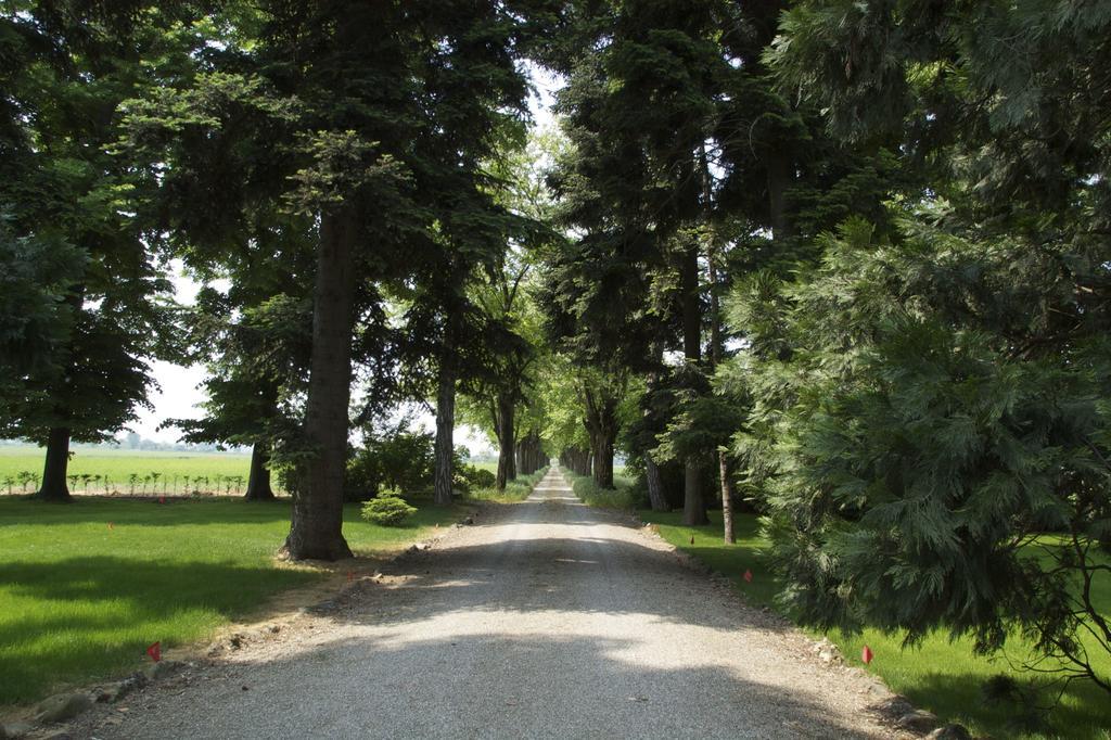 Tenuta La Fiscala Alexandrie Extérieur photo